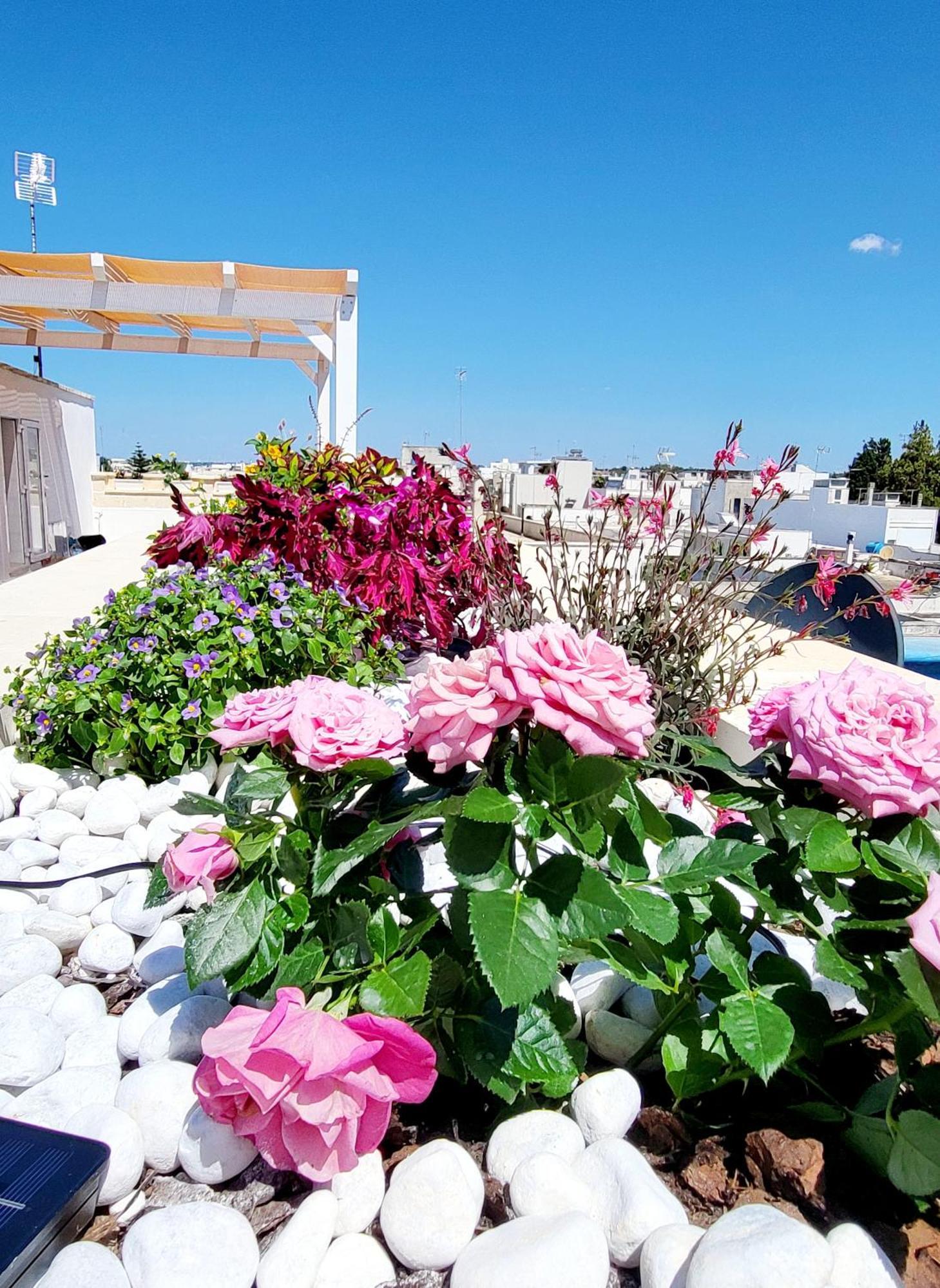 بورتو سيساريو Aquamarina Rooms المظهر الخارجي الصورة